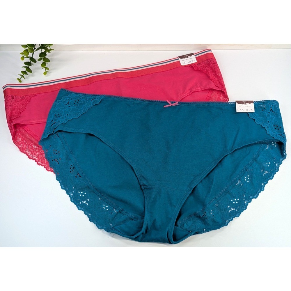 LOT 2! NWT 26/28😍Lane Bryant Cacique Cotton Hipster Panties Lace Cheeky Baddie